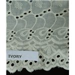 Ivory - FOR COLOR ONLY